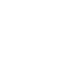 (c) Andischu.com